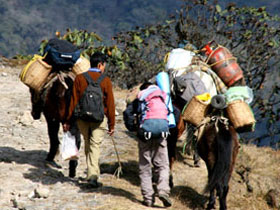Singalila Ridge trek with homestays