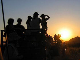 Conservation holiday in Namibia, Leopards & Cheetahs