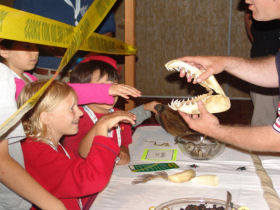 Enjoy a hands-on family encounter with the ocean's diversity