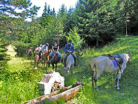 Horse riding holiday in Bulgaria