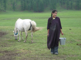 Horse Milking, Mongolia