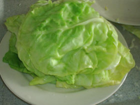 Lettuce