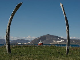 Wildlife cruises to Kamchatka and Chukotka, Russia