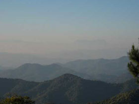 canopy adventure tours