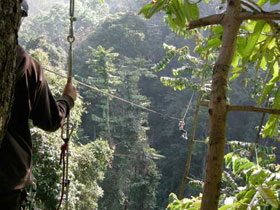 canopy adventure tours