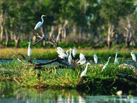 Kakadu and Arnhem Land tours, Australia