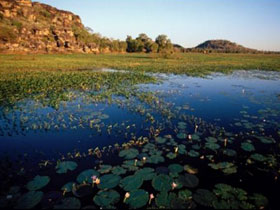 Kakadu and Arnhem Land tours, Australia