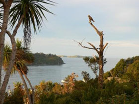 Nature tour in New Zealand