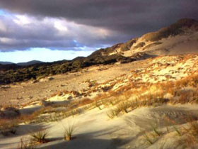 Nature tour in New Zealand