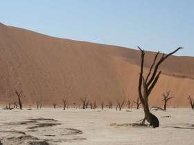 Cape Town to Victoria Falls tours, South Africa