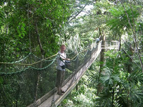 Guyana holidays, jungles and jaguars