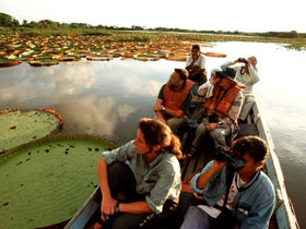 Guyana holidays, jungles and jaguars