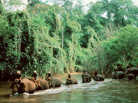 Indochina small group tours