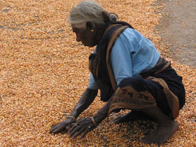 Tamil Nadu holidays, tailor made