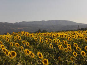 Short break horse riding holiday in Tuscany