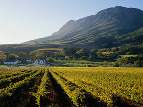 South Africa architecture tour