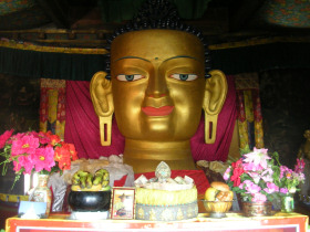 Buddhism study