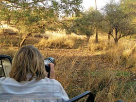 Tiger watching tours in India