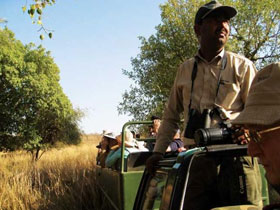 Tiger watching tours in India