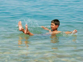 Swimming in the Red Sea