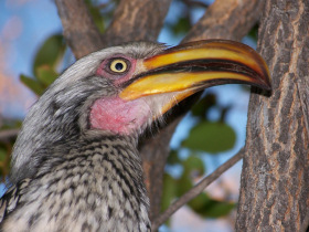 Namibia
