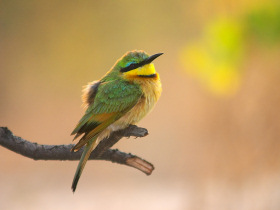 Namibia