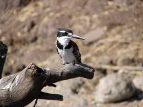 Botswana