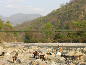 Corbett and the Kumaon Hills tour in India