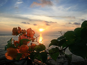 Marine conservation holiday in Tioman Island, Malaysia