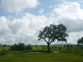 Tanzania wildlife, mountain and beach safari