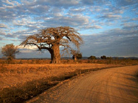 Tours in Tanzania, Mikumi, Selous and Uluguru mountains 