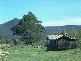 Mount Kenya