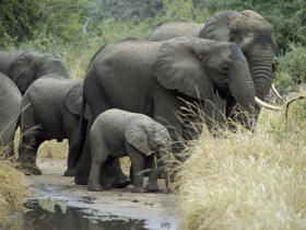 Lesotho and South Africa self drive tour
