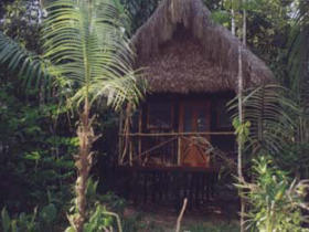 Bolivian Amazon wildlife tour
