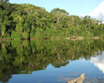 Bolivian Amazon