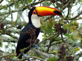 Small group tour to Mexico and Guatemala