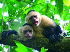 Costa Rica & Nicaragua tour