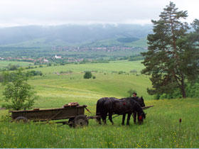 Holiday to Transylvania, tailor made