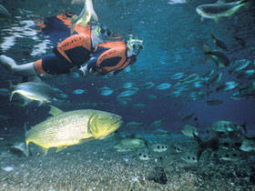 Small group tours to Brazil, Rio to Iguazu