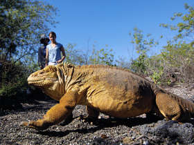 Ecuador and Galapagos