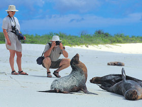 Peru and Galapagos