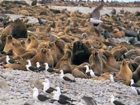 Southern Peru tour, including Bolivia
