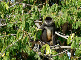 Nicaragua tour, the Heart of Nicaragua