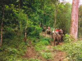 Thailand trekking & rafting holiday