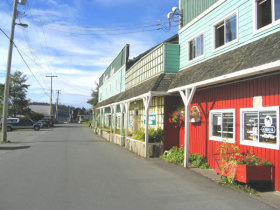 Vancouver Island wildlife tours, Canada
