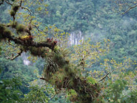 Panama holiday, tailor made wildlife tours