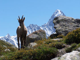 Triathlon training holiday in Chamonix, France