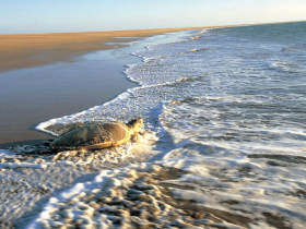 Darwin tour and sailing trip, Northern Territory, Australia