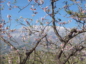 Walking holiday in Andalucia, Spain