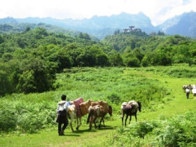 Bhutan vacation, cultural tour